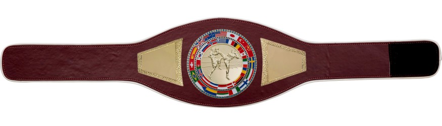 THAI BOXING CHAMPIONSHIP BELT-PROFLAG2/FLAG/G/TBOG - VARIETY OF COLOURS AVAILABLE THAI BOXING CHAMPIONSHIP BELT-PROFLAG2/FLAG/G/TBOG - VARIETY OF COLOURS AVAILABLE